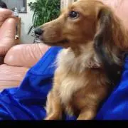 カチカチ