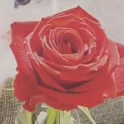 なっつの画像