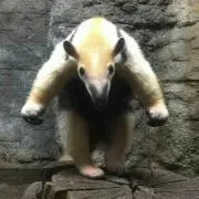 まさの画像