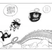 rd5559の画像