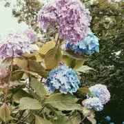 mm.の画像