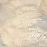 よっちゃんの画像