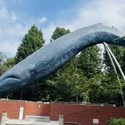 Exploringの画像