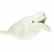 ノアーズアークの画像