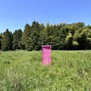 みっちゃん先生