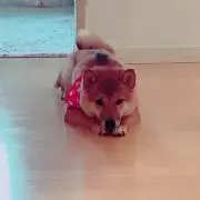 mの画像