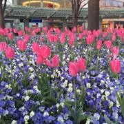 はなな【※プロフ必読願います】の画像