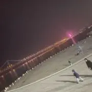 葉の画像