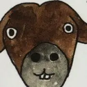 タロ