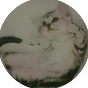 Enの画像