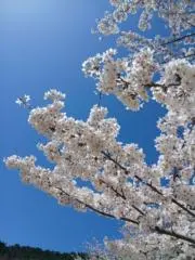 OzaWa書院　プロフお読み下さい！の画像