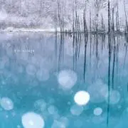 ミモチ