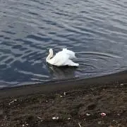 飯田の画像