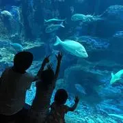 ソラマニア☆の画像