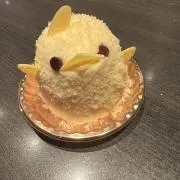ひかるの画像