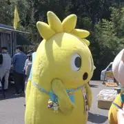ぴこぴこ