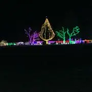 えーの画像