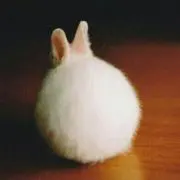 さりちん