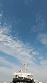 ひよこ抹茶の画像
