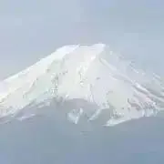 ケビンの画像