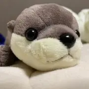 くーたろちゃん プロフ必読お願いしますの画像