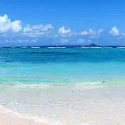 acco★の画像
