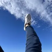 ごりの画像