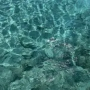 ルラ_プロフ必読の画像