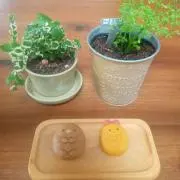 coconの画像