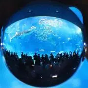 mon ＊プロフ確認お願いします