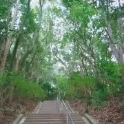 tanの画像