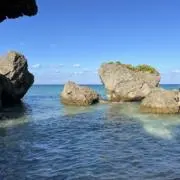Miniの画像
