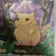 ⭐︎引退品ピカチュウ25th⭐︎の画像