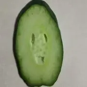 ととの画像