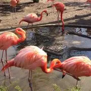 り〜5
