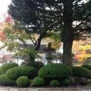 さくや