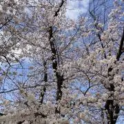 はるあき