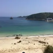 Ccm 値下げ交渉ご遠慮下さいの画像