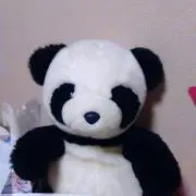 ももの画像