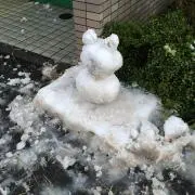 ちっぷの画像