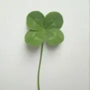えむの画像
