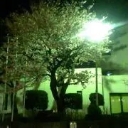 ★夢市場★即購入・無言購入大歓迎☆の画像