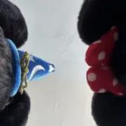 まもの画像