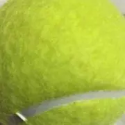 しんの画像