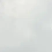 skikの画像