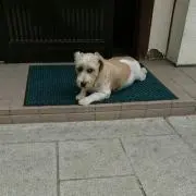 つん