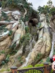 ココアの画像
