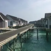 大地の画像