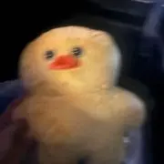 にんじんの画像
