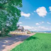 くも